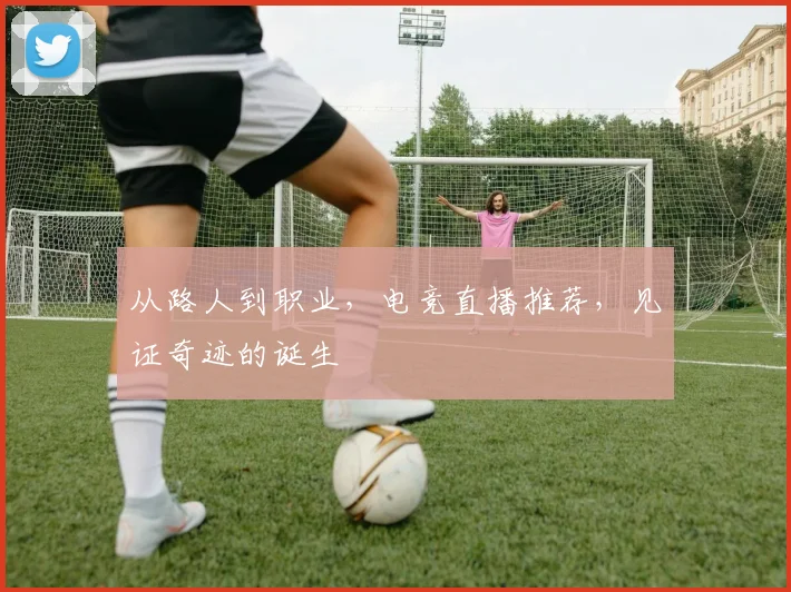 从路人到职业，电竞直播推荐，见证奇迹的诞生