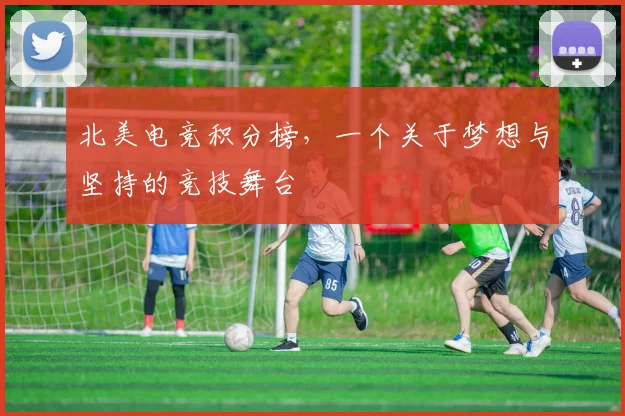 北美电竞积分榜,一个关于梦想与坚持的竞技舞台
