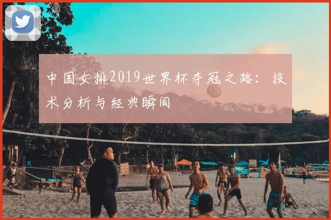 中国女排2019世界杯夺冠之路：技术分析与经典瞬间