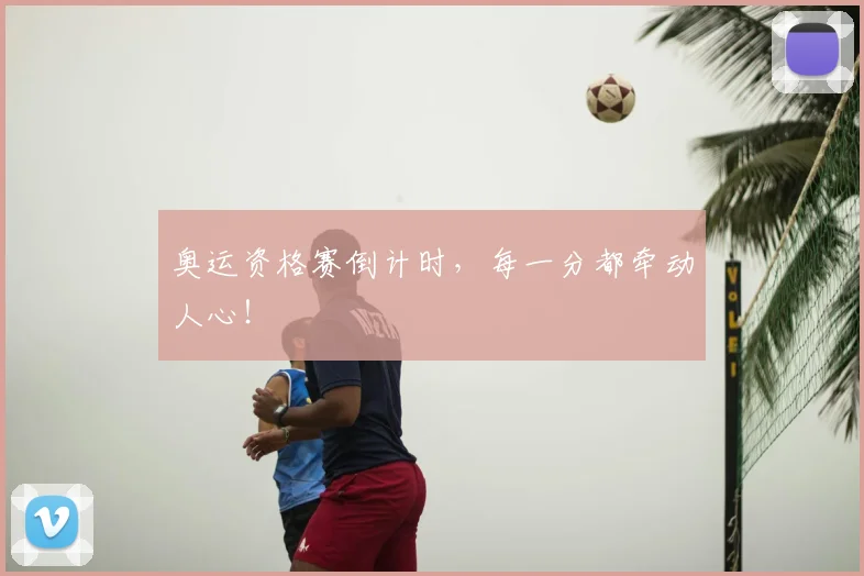 奥运资格赛倒计时,每一分都牵动人心!