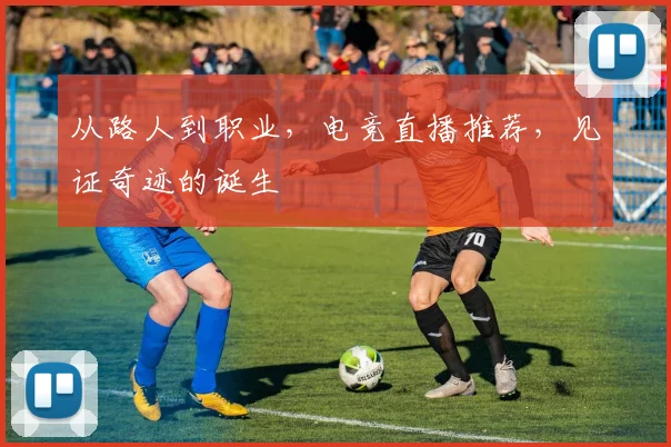 从路人到职业，电竞直播推荐，见证奇迹的诞生