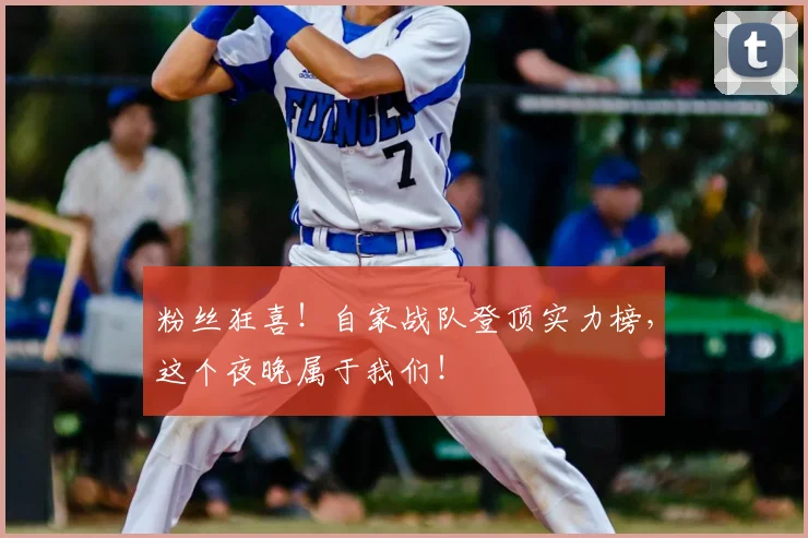 粉丝狂喜!自家战队登顶实力榜,这个夜晚属于我们!